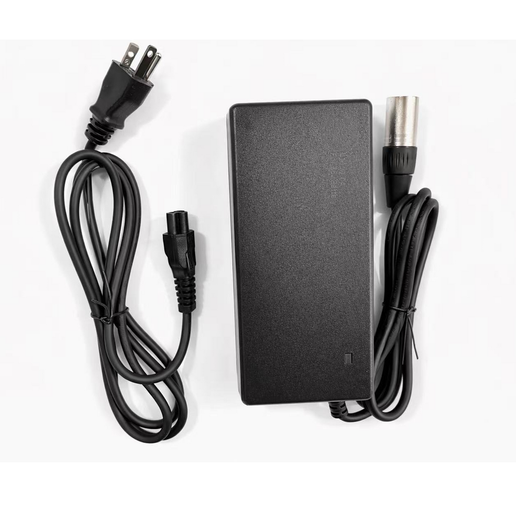 Aostirmotor A20(G20) E-bike Charger