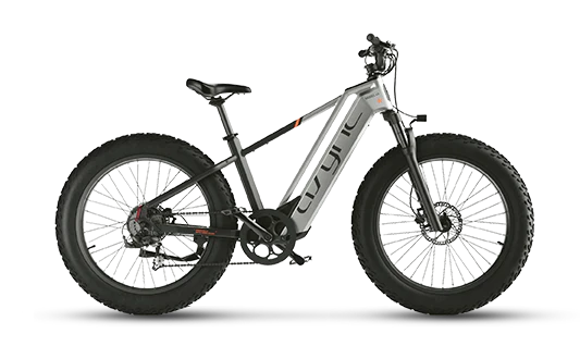 Rental Mountain Bike