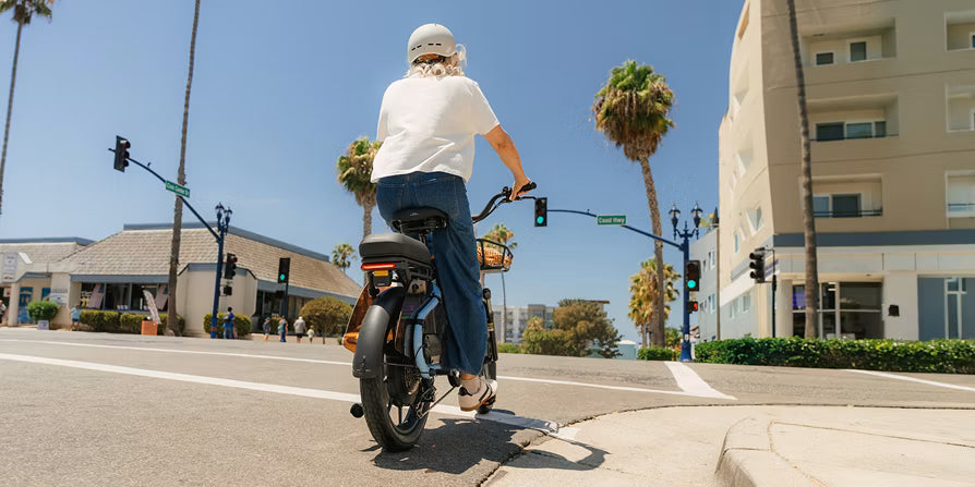 Segway MUXI Pro Cargo