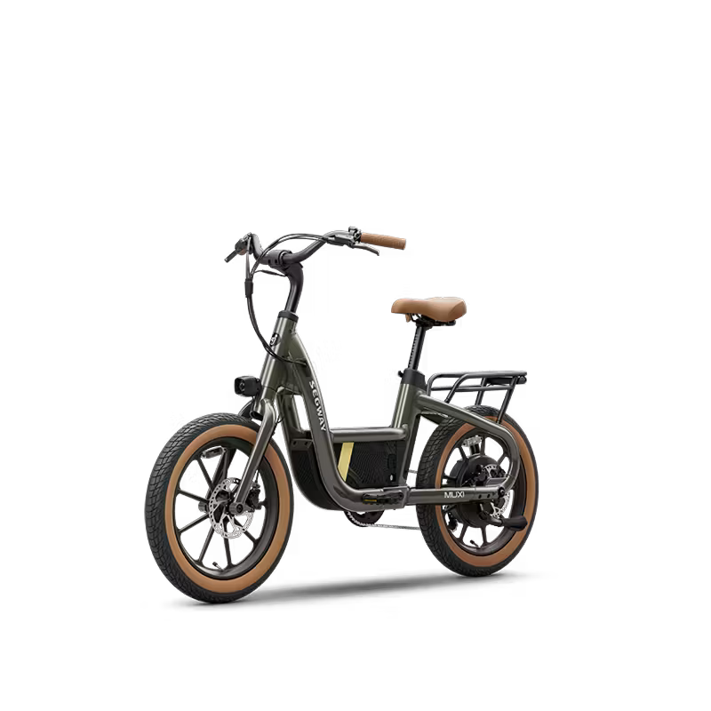 Segway Muxi