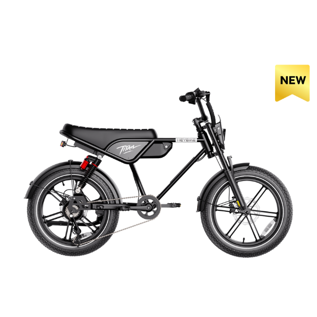 Heybike Titan