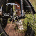Lectric XPeak2 Step-Thru Long-Range eBike