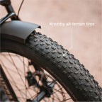 Lectric XPeak2 Step-Thru Long-Range eBike