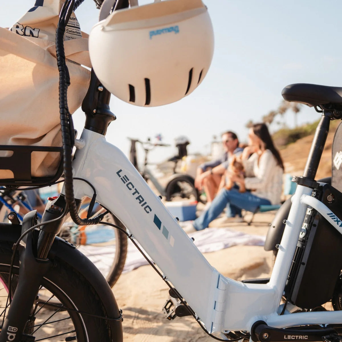 Lectric XP Trike2 750
