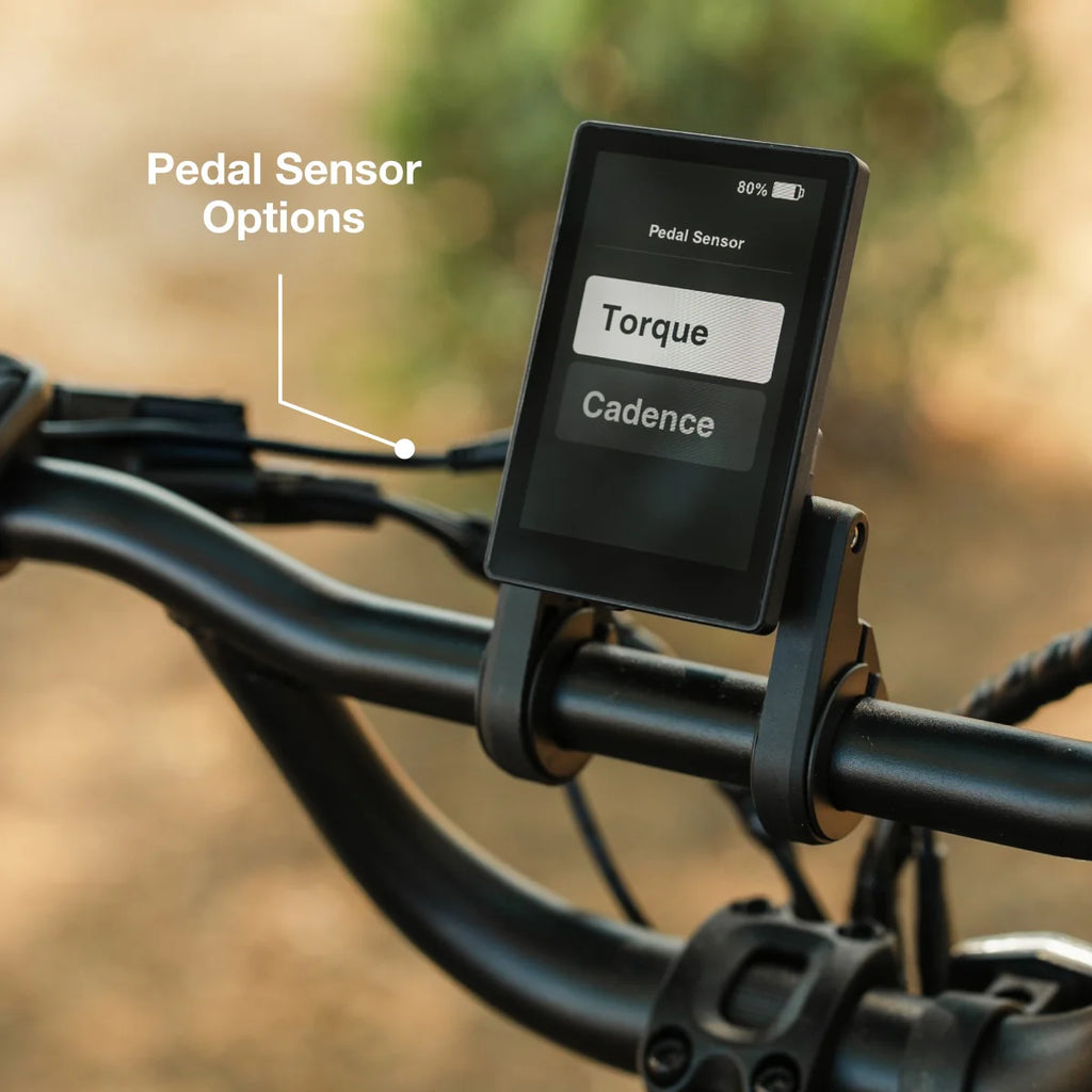 Lectric XP Trike2 750